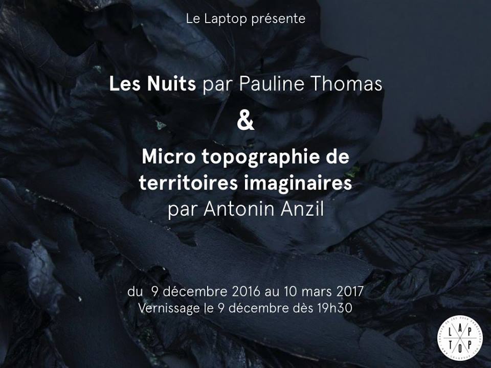 Exposition Pauline Thomas & Antonin Anzil